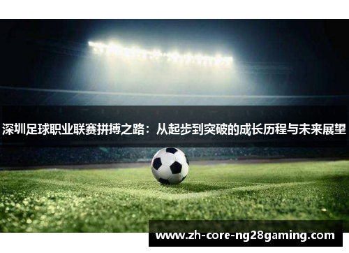 深圳足球职业联赛拼搏之路：从起步到突破的成长历程与未来展望
