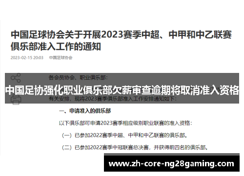 中国足协强化职业俱乐部欠薪审查逾期将取消准入资格